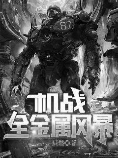 机战:全金属风暴